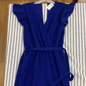 Cobalt Blue Flutter Sleeve Jumpsuit